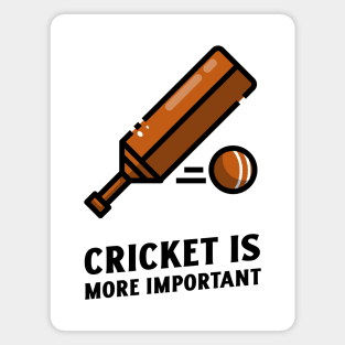 cricket is more important Magnet